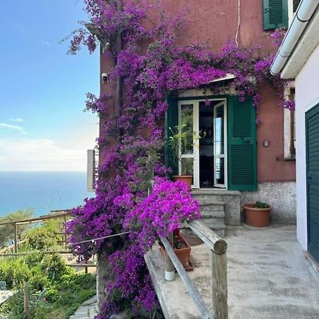 شقة Amazing Flat At The Heart Of 5 Terre National Park فيرناتْسا المظهر الخارجي الصورة