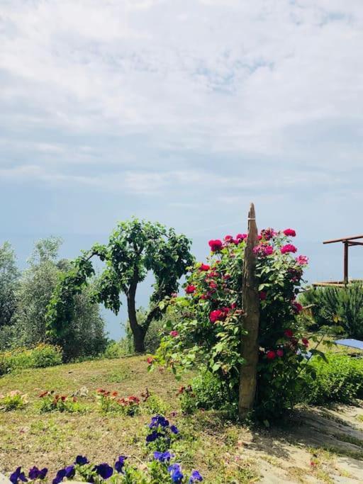 شقة Amazing Flat At The Heart Of 5 Terre National Park فيرناتْسا المظهر الخارجي الصورة