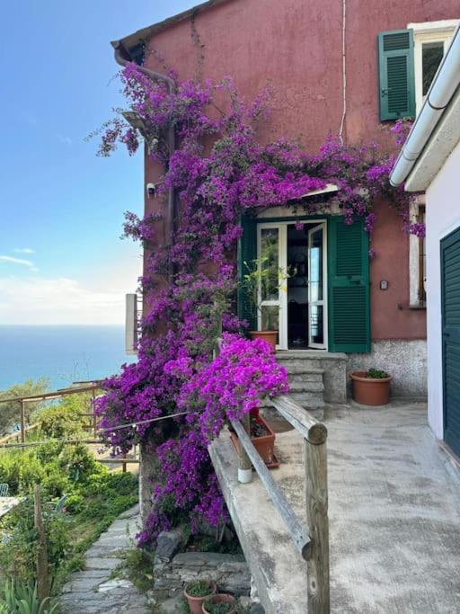 شقة Amazing Flat At The Heart Of 5 Terre National Park فيرناتْسا المظهر الخارجي الصورة